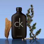 Calvin Klein CK Be Eau de Toilette - Woody Fragrance | 200mL Unisex